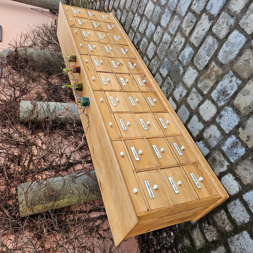 Alter antiker Apothekenschrank mit schöner Rückseite Platte Eiche Schubladen Weichholz Fichte - 294