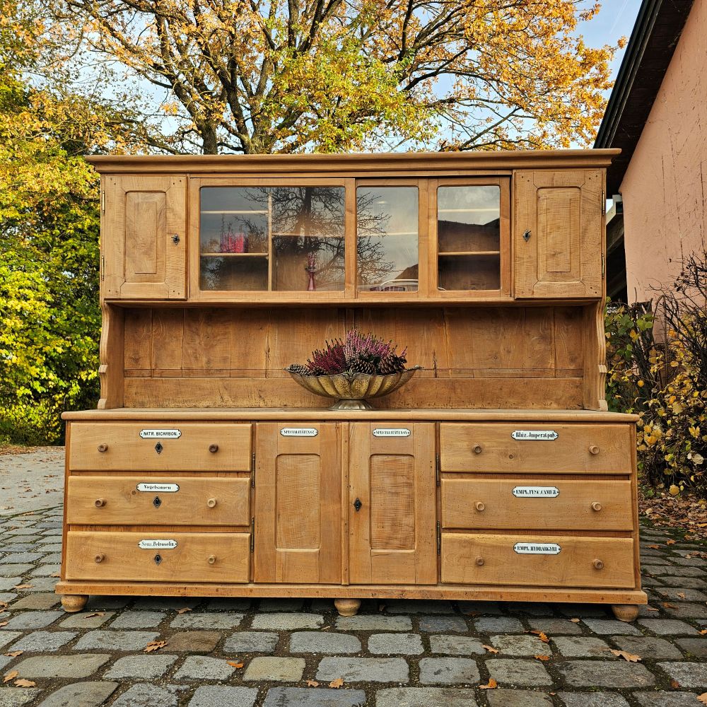 Alter antiker großer Bäckereischrank Ladenschrank Apothekerschrank mit Regalaufsatz Kirschbaumholz - 275