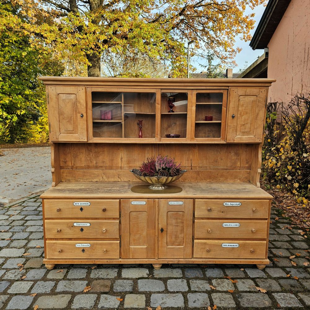 Alter antiker großer Bäckereischrank Ladenschrank Apothekerschrank mit Regalaufsatz Kirschbaumholz - 275