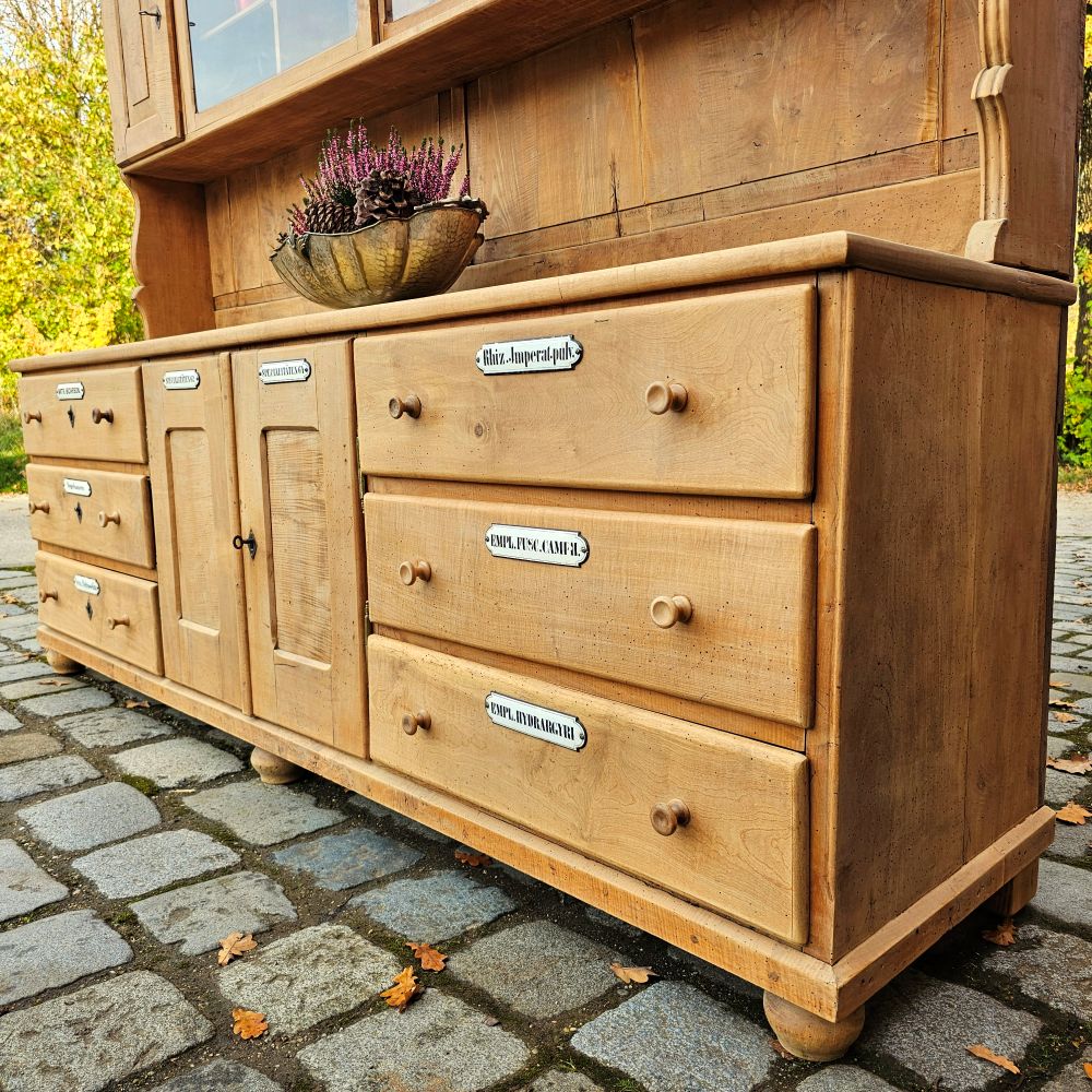 Alter antiker großer Bäckereischrank Ladenschrank Apothekerschrank mit Regalaufsatz Kirschbaumholz - 275